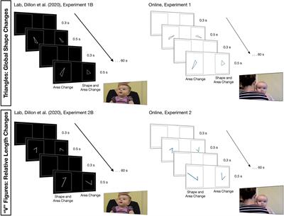 Bringing Home Baby Euclid: Testing Infants’ Basic Shape Discrimination Online